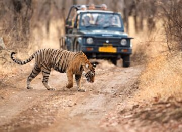 India thumbnail