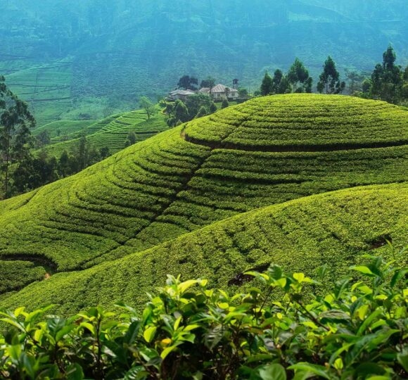 Sri Lanka