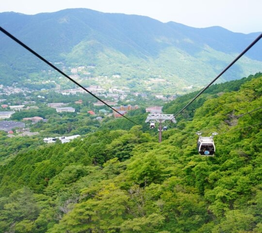 High angle view from a cable car looking down at a green forest and town in a valley.