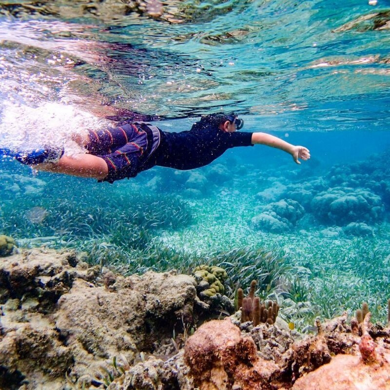 A person in a dark swim shirt and goggles snorkels through clear shallow water above a coral reef and seagrass.