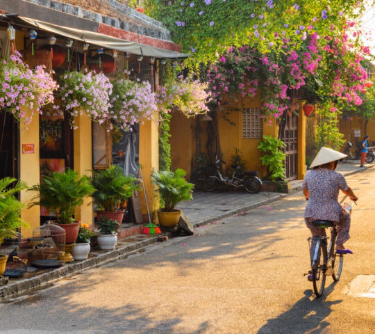 A cyclist in a conical hat travels past yellow historic buildings decorated with flowers.