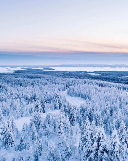 The Arctic vs Antarctic: Top 6 Differences