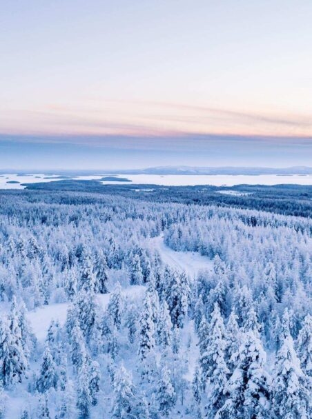 The Arctic vs Antarctic: Top 6 Differences