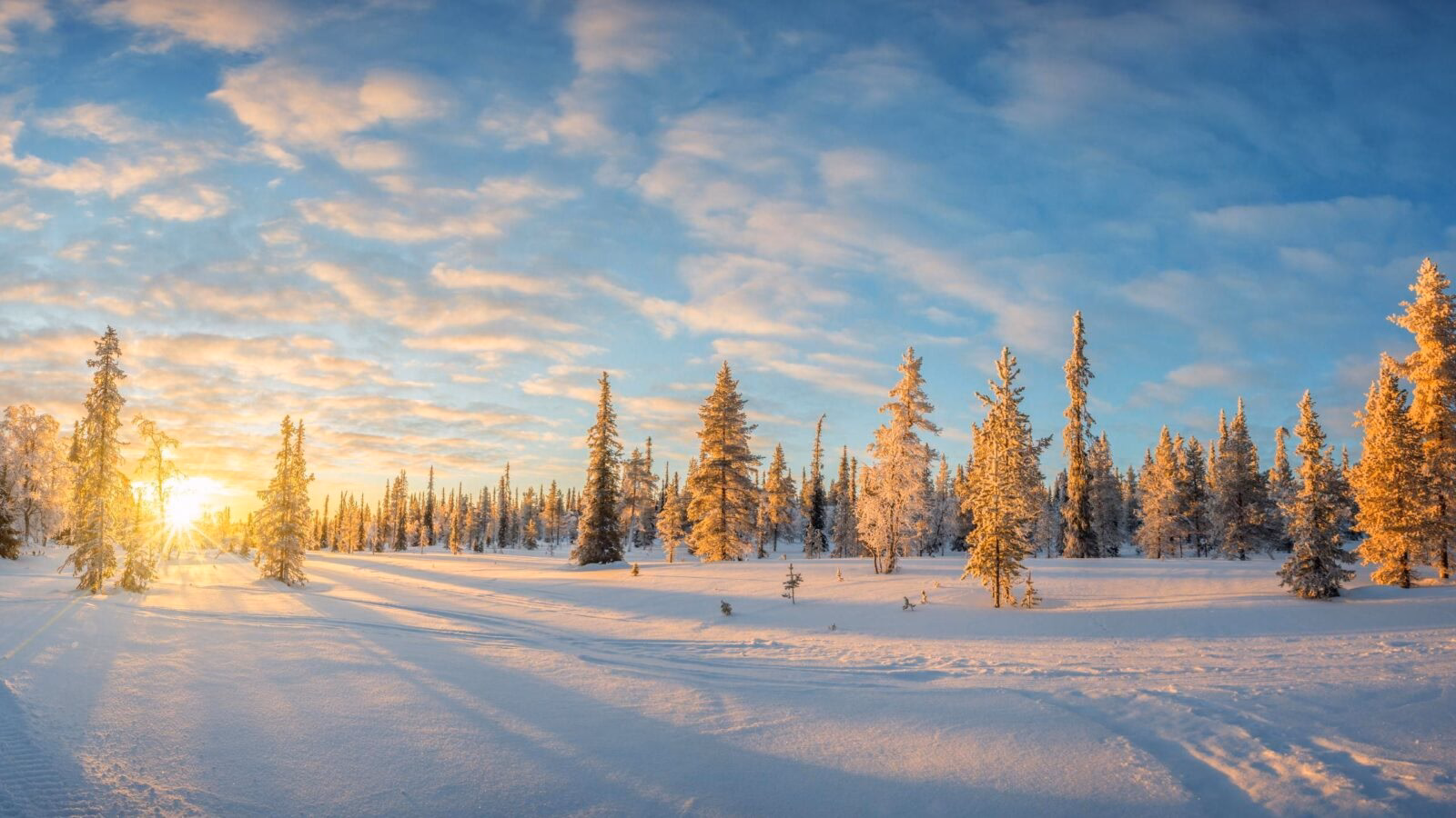 A bright sun rises over a flat, snow-covered landscape filled with frost-covered evergreen trees.