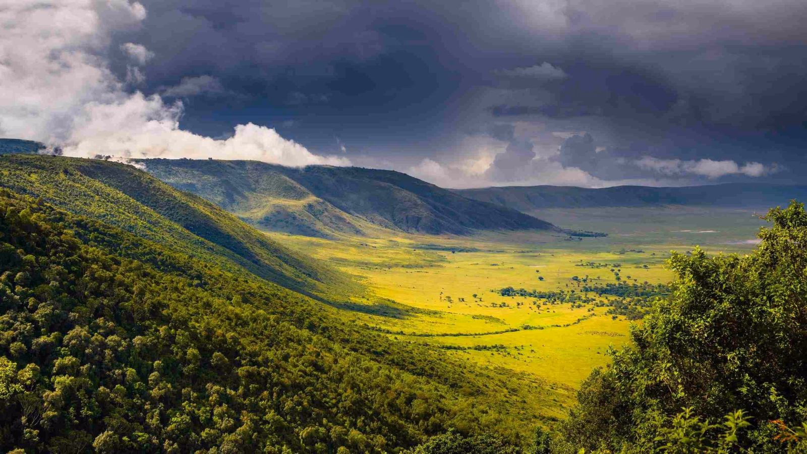 Clouds rolling in over the verdant hills of the Ngorongoro Crater, Tanzania.