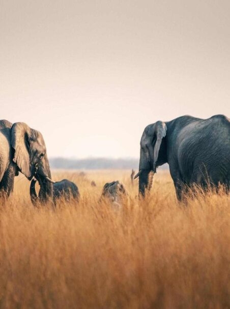 Why South Africa Is Great for a Family Vacation