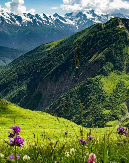 The 11 Best Things to Do in Georgia