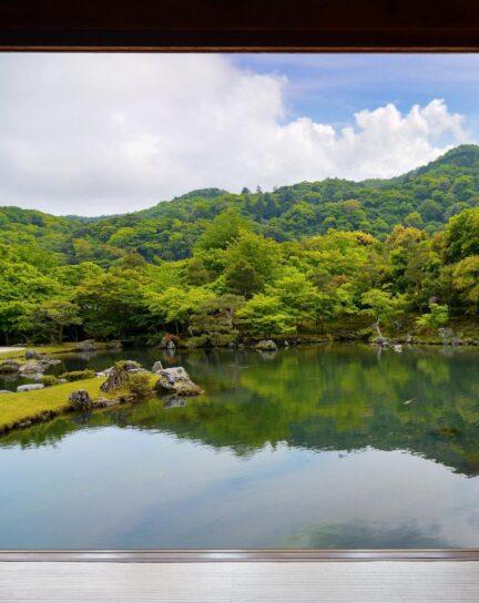 When is the Best Time to Visit Japan?