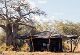 Usangu Expedition Camp