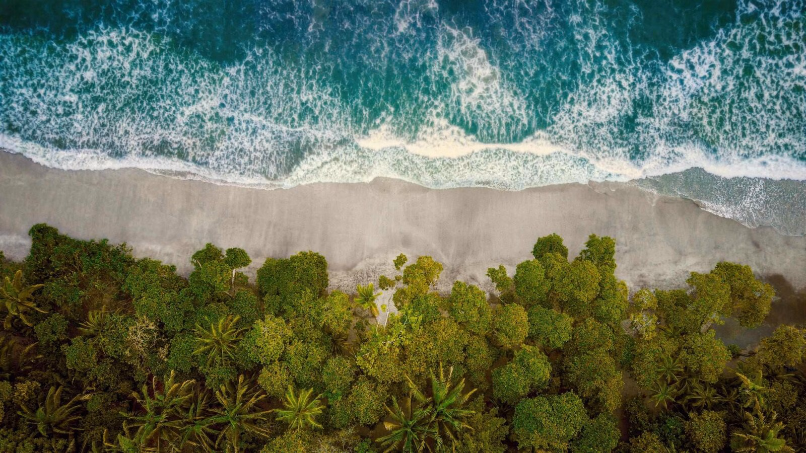 Aerial view of a tropical beach with turquoise water, white surf, and a lush green forest.