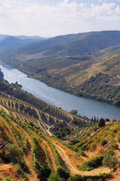 Portugal for Food and Wine Lovers