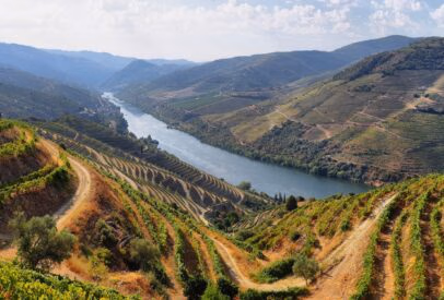Portugal for Food and Wine Lovers