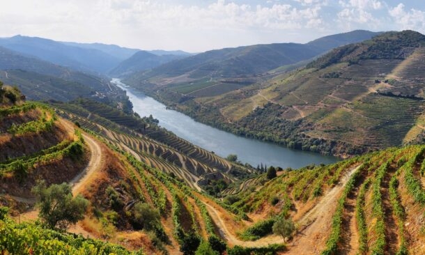 Portugal for Food and Wine Lovers