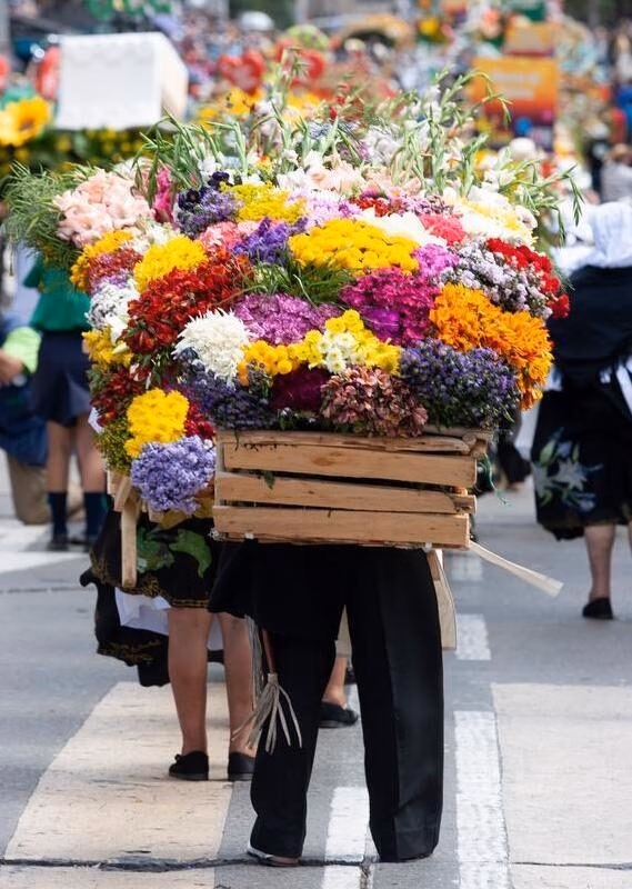A person from behind carries a large wooden crate filled with vibrant, multi-colored flowers.