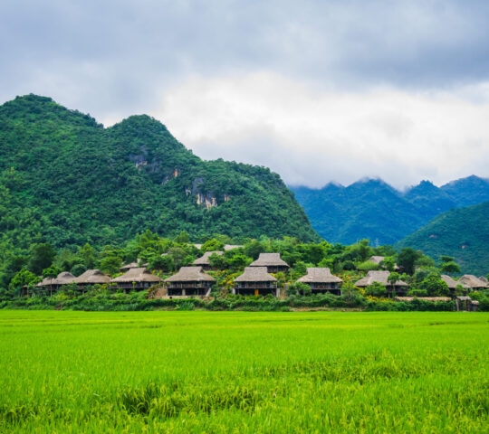 Rice fields in Mai Chau, Vietnam