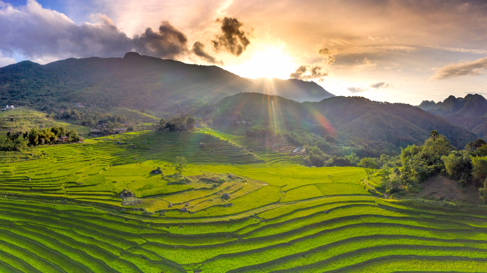 Rice fileds in Mai Chau, Vietnam