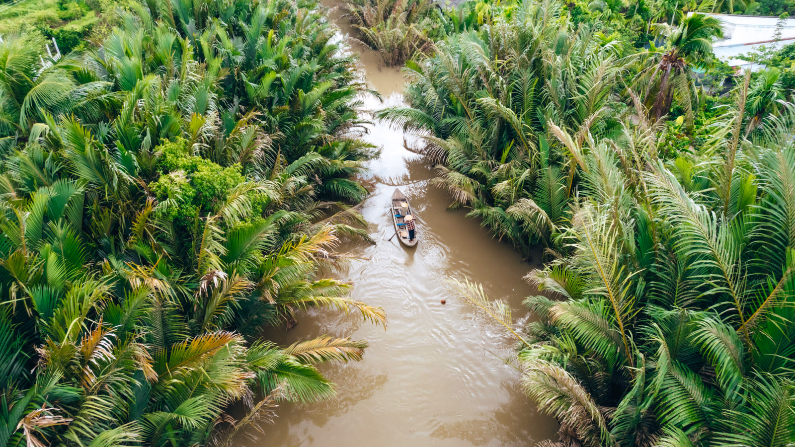 A small boat on the Mekong River in Vietnam