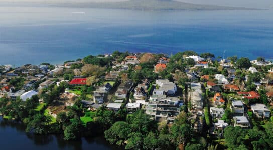 Climb Rangitoto's dormant volcano preview image
