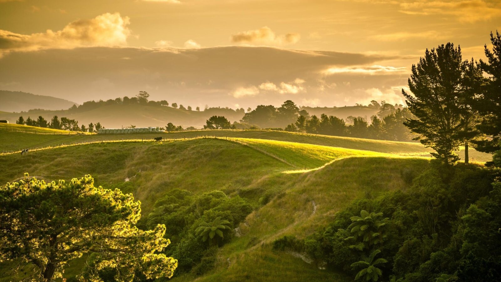 sunset landscape New Zealand north island