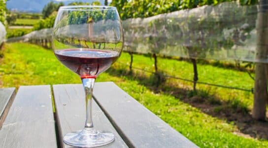 Taste Hawke's Bay wines preview image