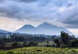 Rwanda Gorilla Trekking and a Maasai Mara Safari