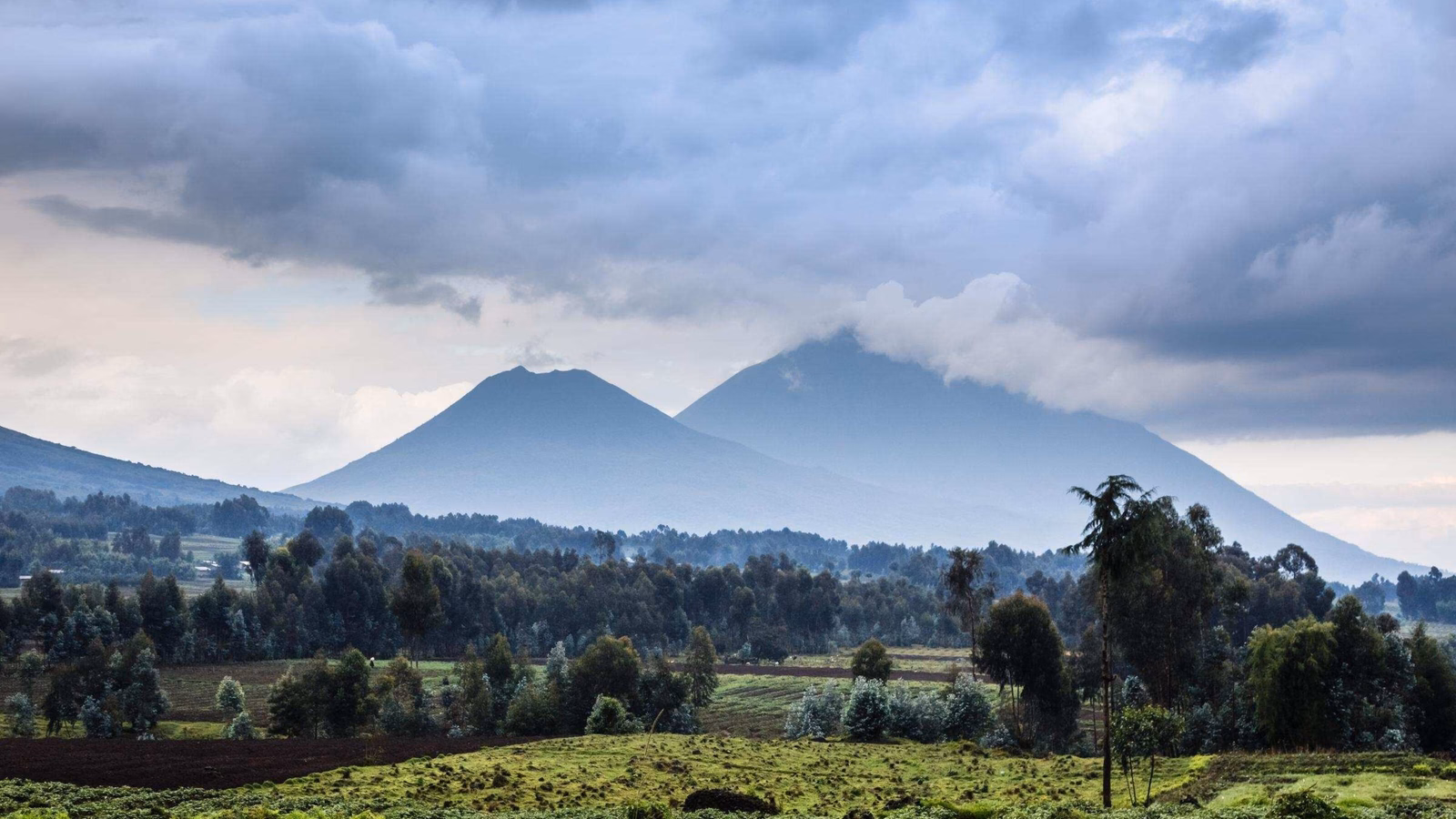 Virunga volcano national park in Rwanda