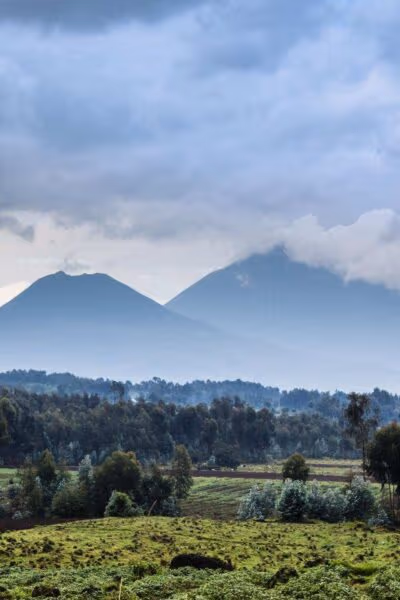 Rwanda Gorilla Trekking and a Maasai Mara Safari