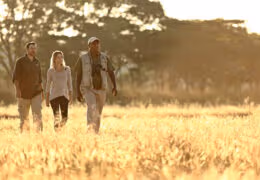 A Zambian Walking Safari