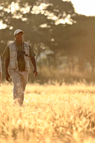 A Zambian Walking Safari