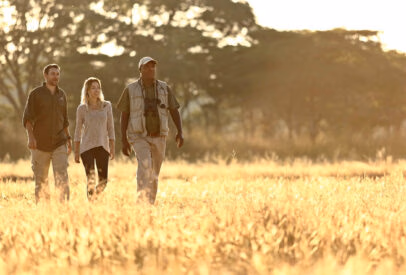 A Zambian Walking Safari
