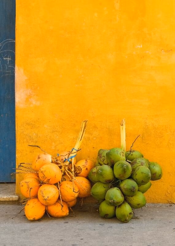 Fresh coconuts in the street of Cartagena, Colombia