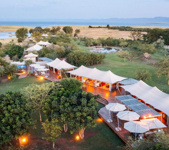 Fothergill, Zimbabwe