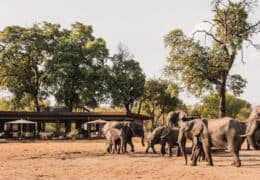 Wilderness Davison’s Camp