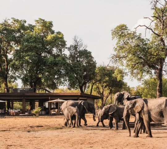 Wilderness Davison's Camp, Zimbabwe