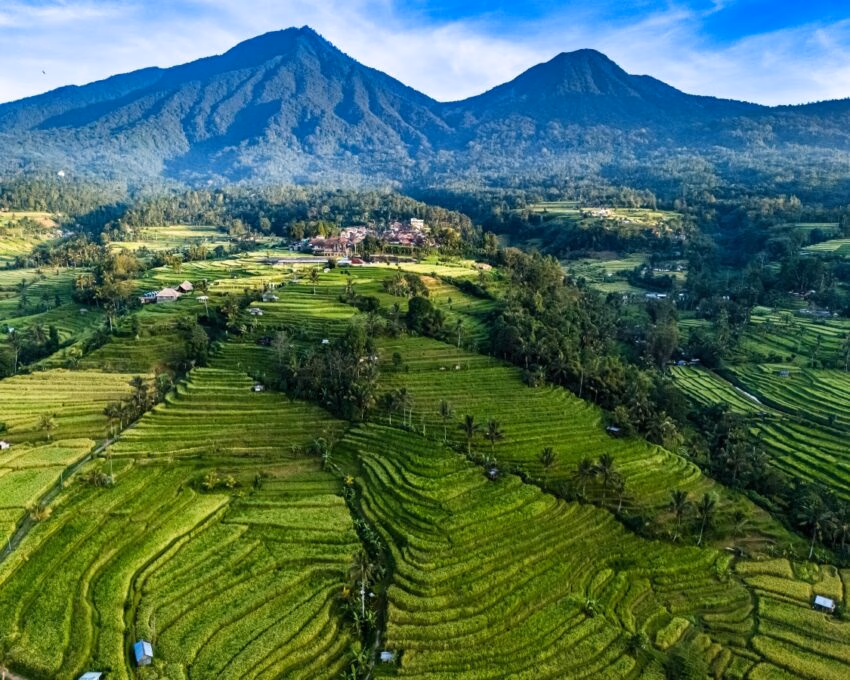 Extensive green rice terraces on a hillside with two large mountains under a blue sky.
