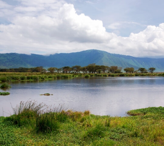 Beauty of nature near Lake Manyara with hippos in valley