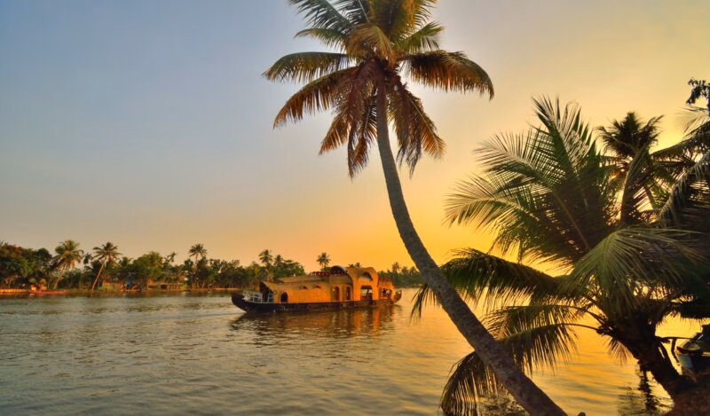 Palm trees sloping over a river and houseboat at sunrise over a Kerala river