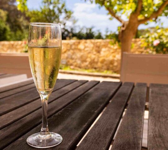 Sampling cava in the Penedes