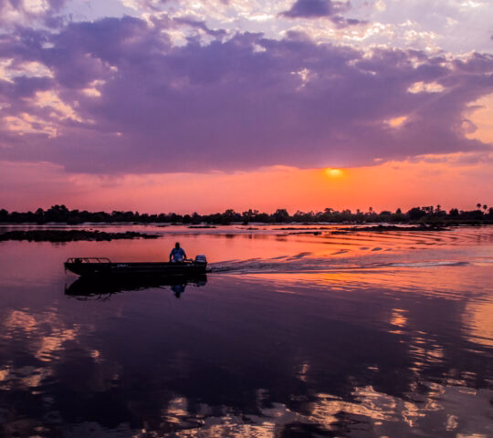 A sunset cruise on the Zambezi river