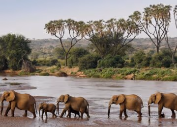Samburu thumbnail