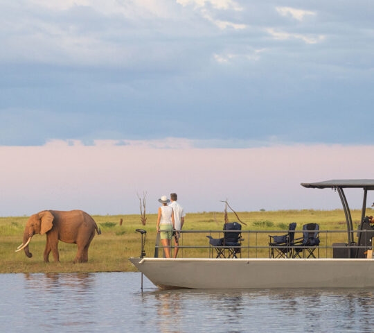 Spotting an elephant during a boat cruise on Lake Kariba, Zimbabwe