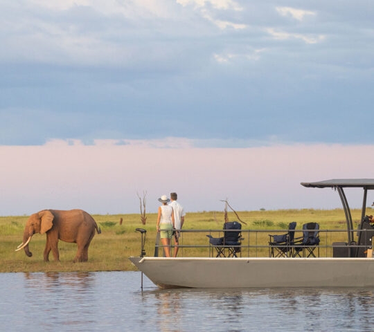 Spotting an elephant during a boat cruise on Lake Kariba, Zimbabwe