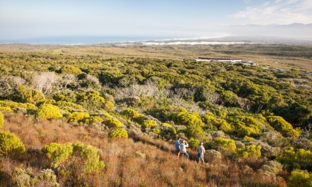 Grootbos Garden Lodge