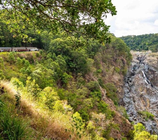 Kuranda Scenic Railway, Cairns