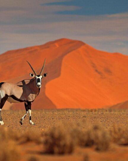 Remote Travel Locations Around the World