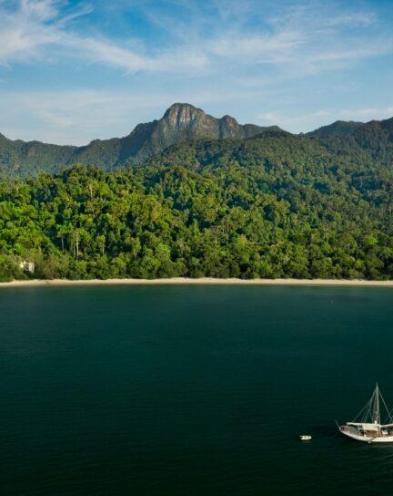 The Best Rainforest and Jungle Lodge Hotels Around the World