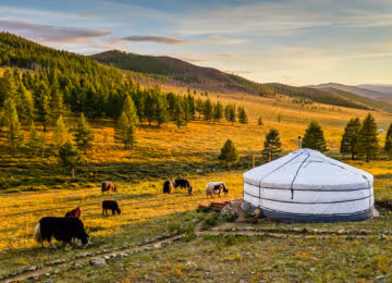 Mongolia thumbnail