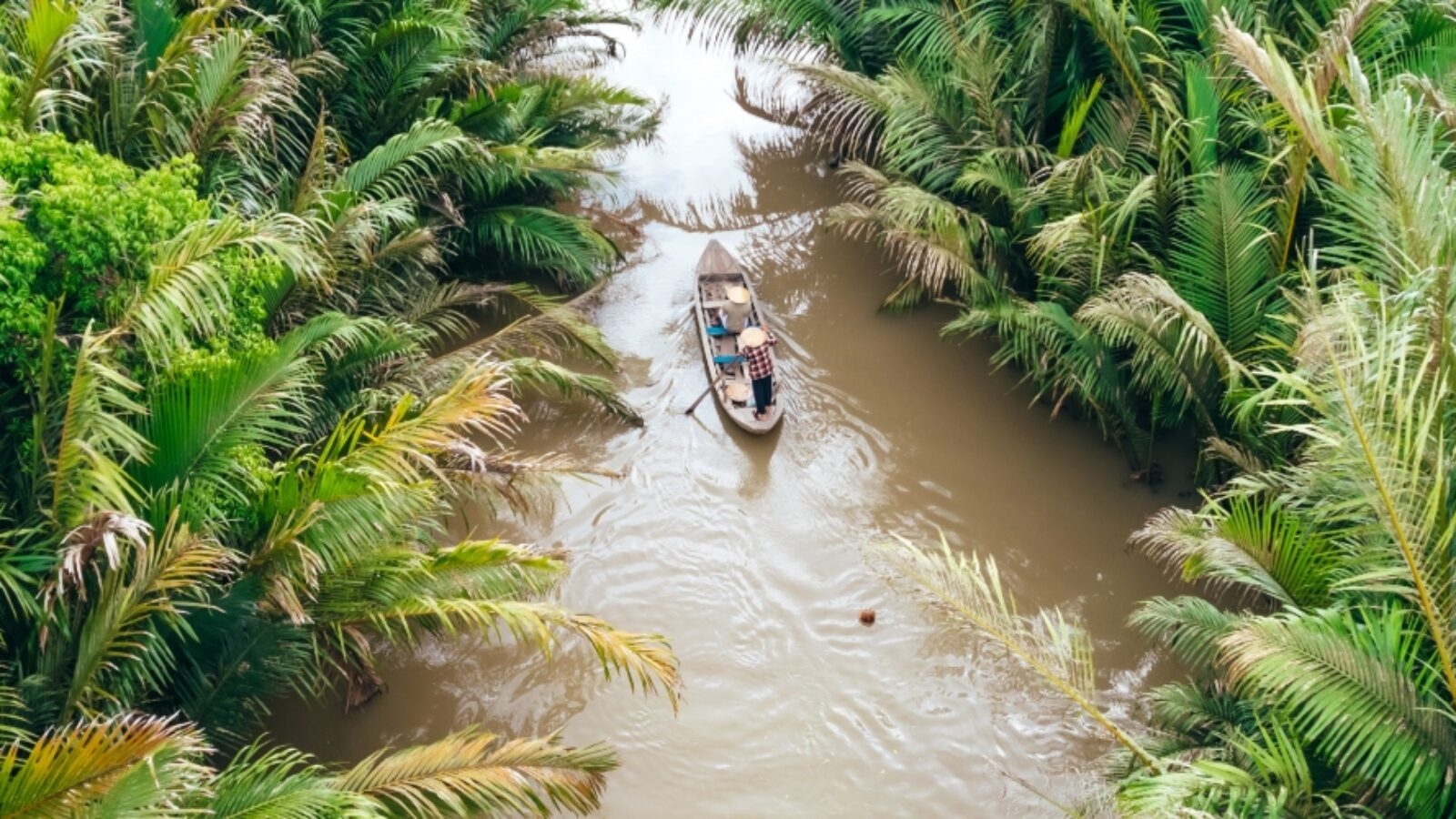 A small boat traveling down a jungle river lined with palms on luxury Asia grand tour holidays.