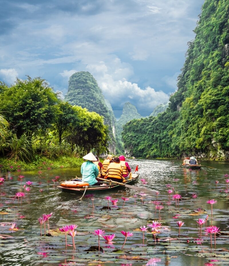 Tourists in rowboats pass pink water lilies and limestone mountains during luxury Asia grand tour vacations.