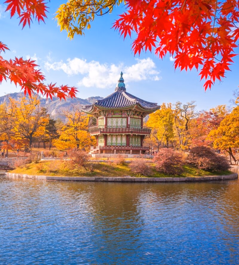 A Korean pavilion in a pond framed by vibrant red autumn maple leaves during luxury Asia grand tours.